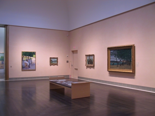 Museum of Fine Arts- Houston